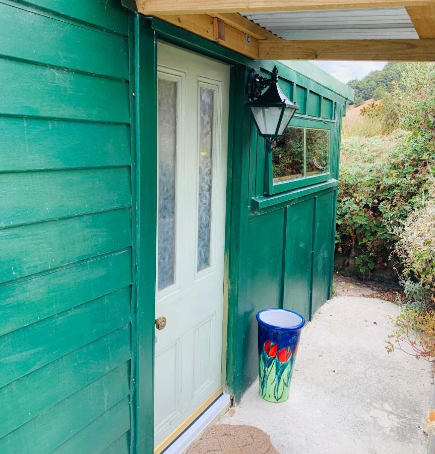 Tracy'S Boutique B&B Farmstay Wellsford Bagian luar foto