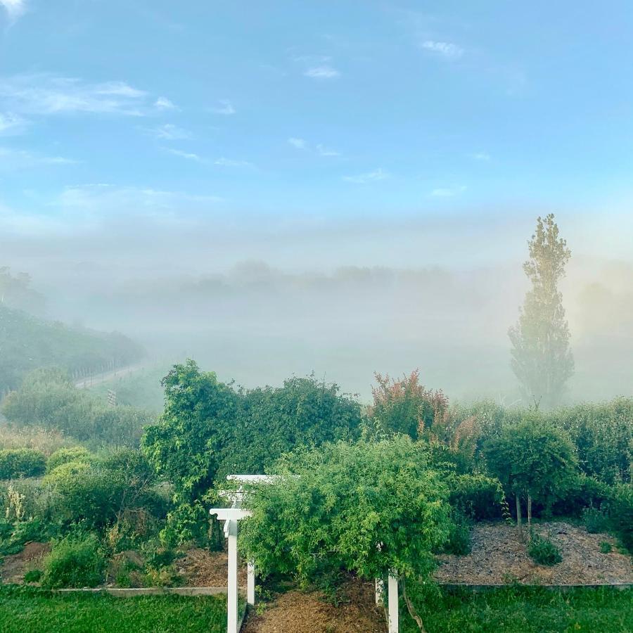 Tracy'S Boutique B&B Farmstay Wellsford Bagian luar foto