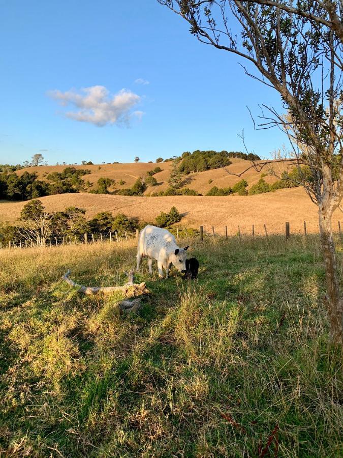 Tracy'S Boutique B&B Farmstay Wellsford Bagian luar foto