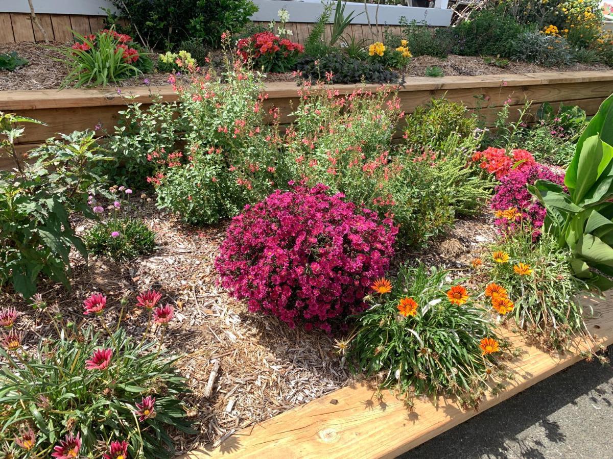 Tracy'S Boutique B&B Farmstay Wellsford Bagian luar foto