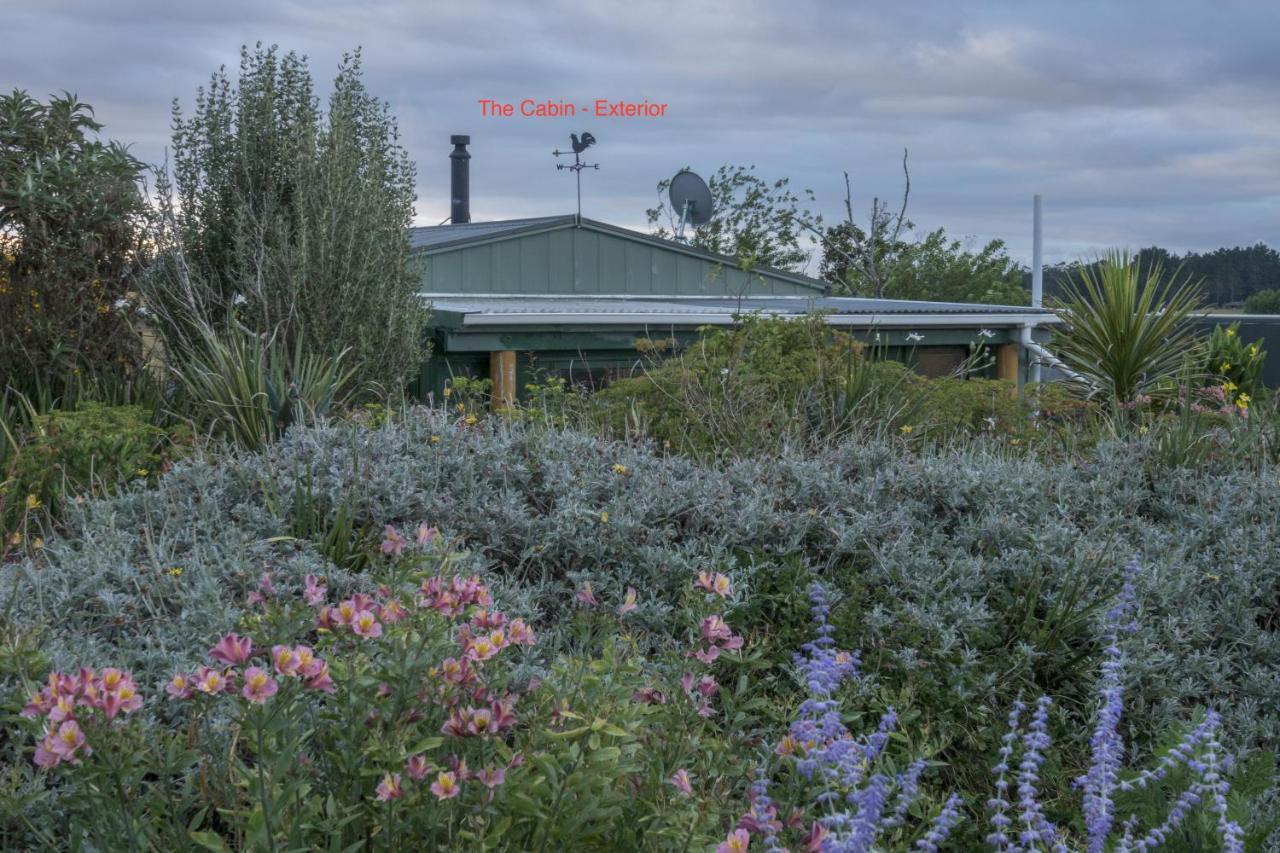 Tracy'S Boutique B&B Farmstay Wellsford Bagian luar foto